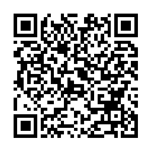 Lien vers votre campagne QRCode - Collecte de fonds