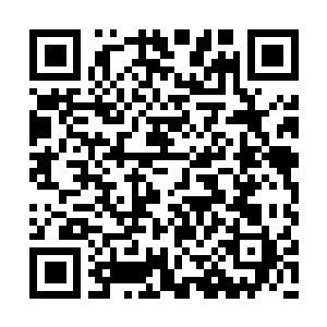 Lien vers votre campagne QRCode - Collecte de fonds