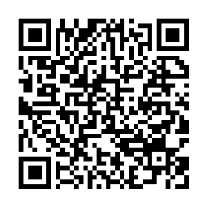 Lien vers votre campagne QRCode - Collecte de fonds