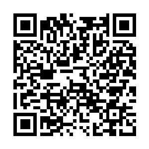 Lien vers votre campagne QRCode - Collecte de fonds