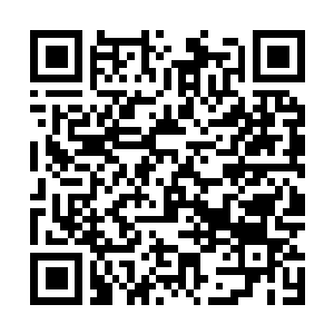 Lien vers votre campagne QRCode - Collecte de fonds