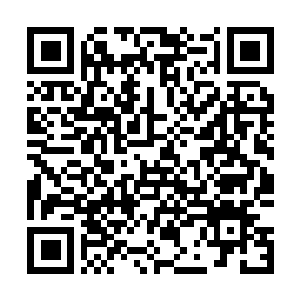 Lien vers votre campagne QRCode - Collecte de fonds