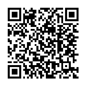Lien vers votre campagne QRCode - Collecte de fonds