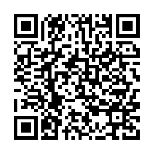 Lien vers votre campagne QRCode - Collecte de fonds