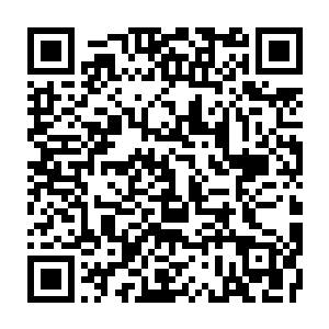 Lien vers votre campagne QRCode - Collecte de fonds