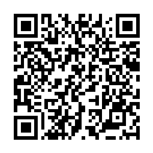 Lien vers votre campagne QRCode - Collecte de fonds