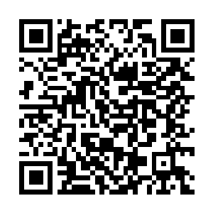 Lien vers votre campagne QRCode - Collecte de fonds