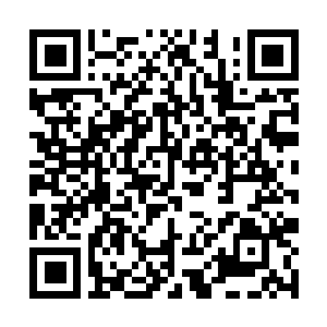 Lien vers votre campagne QRCode - Collecte de fonds
