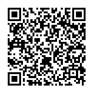 Lien vers votre campagne QRCode - Collecte de fonds