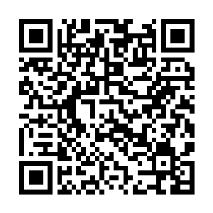 Lien vers votre campagne QRCode - Collecte de fonds