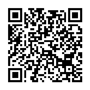 Lien vers votre campagne QRCode - Collecte de fonds