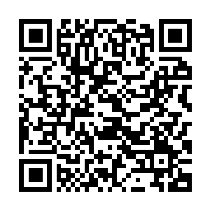 Lien vers votre campagne QRCode - Collecte de fonds