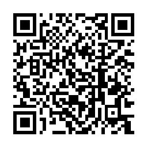 Lien vers votre campagne QRCode - Collecte de fonds