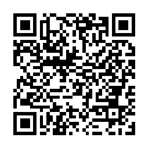 Lien vers votre campagne QRCode - Collecte de fonds
