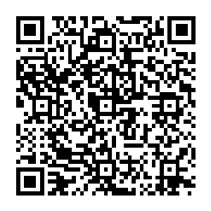 Lien vers votre campagne QRCode - Collecte de fonds