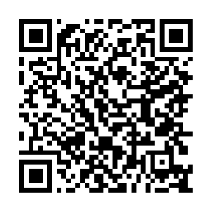 Lien vers votre campagne QRCode - Collecte de fonds