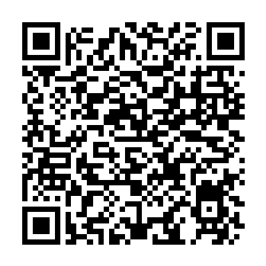 Lien vers votre campagne QRCode - Collecte de fonds