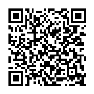 Lien vers votre campagne QRCode - Collecte de fonds