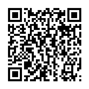 Lien vers votre campagne QRCode - Collecte de fonds