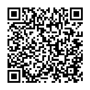 Lien vers votre campagne QRCode - Collecte de fonds
