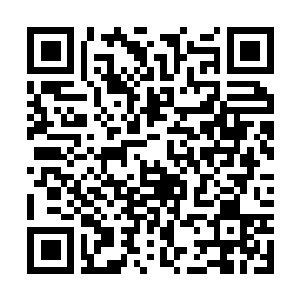 Lien vers votre campagne QRCode - Collecte de fonds