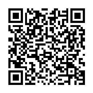 Lien vers votre campagne QRCode - Collecte de fonds