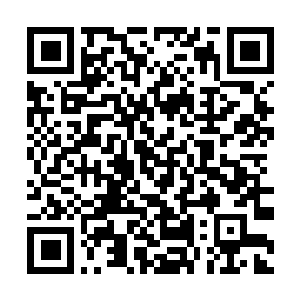 Lien vers votre campagne QRCode - Collecte de fonds