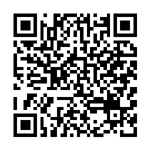 Lien vers votre campagne QRCode - Collecte de fonds