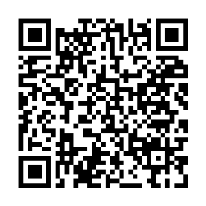 Lien vers votre campagne QRCode - Collecte de fonds
