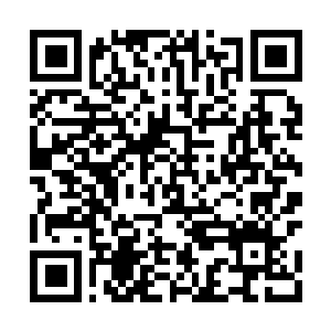 Lien vers votre campagne QRCode - Collecte de fonds
