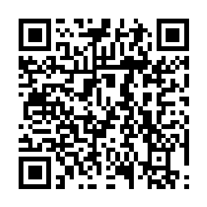 Lien vers votre campagne QRCode - Collecte de fonds