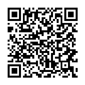 Lien vers votre campagne QRCode - Collecte de fonds