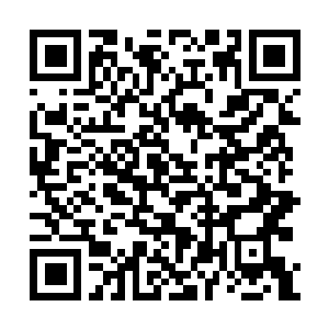 Lien vers votre campagne QRCode - Collecte de fonds