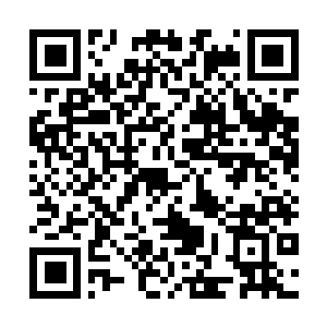 Lien vers votre campagne QRCode - Collecte de fonds