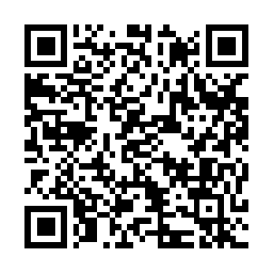 Lien vers votre campagne QRCode - Collecte de fonds