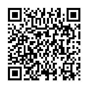 Lien vers votre campagne QRCode - Collecte de fonds