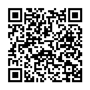 Lien vers votre campagne QRCode - Collecte de fonds