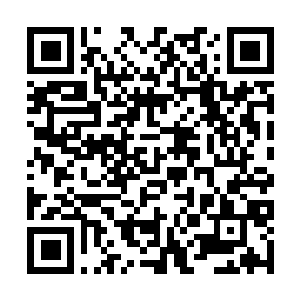 Lien vers votre campagne QRCode - Collecte de fonds