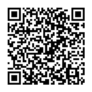 Lien vers votre campagne QRCode - Collecte de fonds