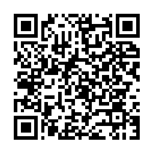 Lien vers votre campagne QRCode - Collecte de fonds