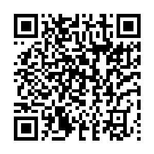 Lien vers votre campagne QRCode - Collecte de fonds