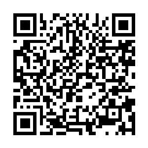Lien vers votre campagne QRCode - Collecte de fonds