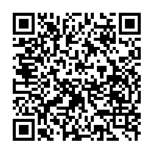 Lien vers votre campagne QRCode - Collecte de fonds