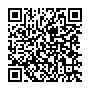 Lien vers votre campagne QRCode - Collecte de fonds