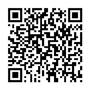 Lien vers votre campagne QRCode - Collecte de fonds