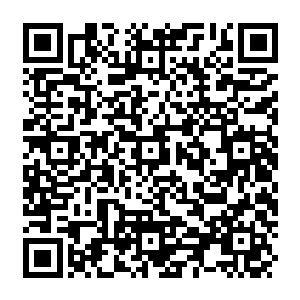 Lien vers votre campagne QRCode - Collecte de fonds