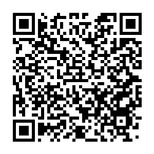 Lien vers votre campagne QRCode - Collecte de fonds