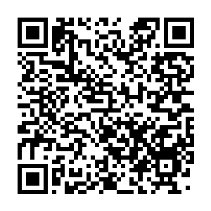 Lien vers votre campagne QRCode - Collecte de fonds