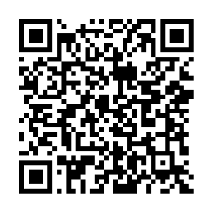 Lien vers votre campagne QRCode - Collecte de fonds
