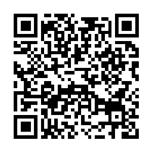 Lien vers votre campagne QRCode - Collecte de fonds